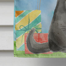 Load image into Gallery viewer, British Shorthair Happy Birthday Flag Canvas House Size CK3168CHF