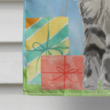 Load image into Gallery viewer, Maine Coon Happy Birthday Flag Canvas House Size CK3169CHF