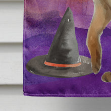 Load image into Gallery viewer, Abyssinian Halloween Flag Canvas House Size CK3177CHF