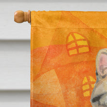 Load image into Gallery viewer, American Shorthair Brown Tabby Halloween Flag Canvas House Size CK3178CHF