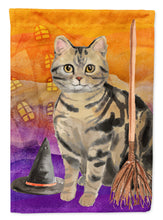 Load image into Gallery viewer, American Shorthair Brown Tabby Halloween Flag Canvas House Size CK3178CHF