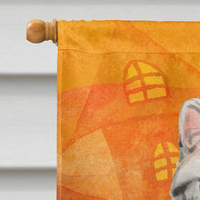 Load image into Gallery viewer, American Shorthair Halloween Flag Canvas House Size CK3179CHF