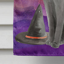 Load image into Gallery viewer, Blue Russian Halloween Flag Canvas House Size CK3181CHF