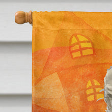 Load image into Gallery viewer, Maine Coon Halloween Flag Canvas House Size CK3184CHF