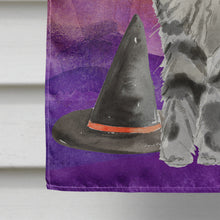 Load image into Gallery viewer, Maine Coon Halloween Flag Canvas House Size CK3184CHF