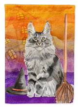 Load image into Gallery viewer, Maine Coon Halloween Garden Flag - Outdoor Decorative Yard Flag CK3184GF