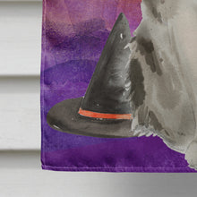 Load image into Gallery viewer, Ragamuffin Halloween Flag Canvas House Size CK3186CHF