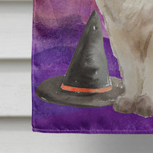 Load image into Gallery viewer, Ragdoll Halloween Flag Canvas House Size CK3187CHF