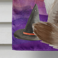Load image into Gallery viewer, Siberian Halloween Flag Canvas House Size CK3190CHF
