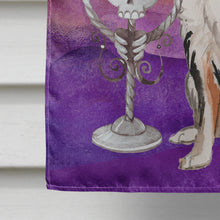 Load image into Gallery viewer, Hallween Australian Shepherd Flag Canvas House Size CK3196CHF