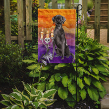 Load image into Gallery viewer, Hallween Black Labrador Retriever Garden Flag - Outdoor Decorative Yard Flag CK3197GF