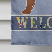 Load image into Gallery viewer, Eurasier or Eurasian dog Welcome Flag Canvas House Size CK3646CHF