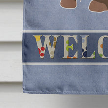 Load image into Gallery viewer, Brown Russian Tsvetnaya Bolonka Lap Dog  Welcome Flag Canvas House Size CK3701CHF