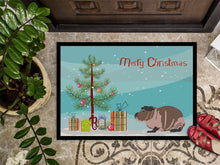 Load image into Gallery viewer, Skinny Guinea Pig Merry Christmas Doormat - 18x27 Decorative Floor Mat – Indoor/Outdoor Rug with Artistic Flair CK4447MAT