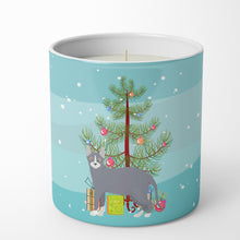 Load image into Gallery viewer, Don Sphynx #2 Cat Merry Christmas 10 oz Decorative Soy Candle