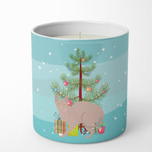 Load image into Gallery viewer, Don Sphynx #3 Cat Merry Christmas 10 oz Decorative Soy Candle