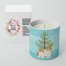 Load image into Gallery viewer, Exotic Shorthair #4 Cat Merry Christmas 10 oz Decorative Soy Candle