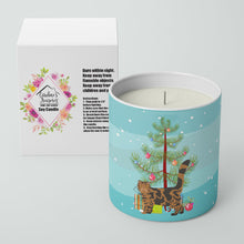 Load image into Gallery viewer, Foldex Exotic Fold #2 Cat Merry Christmas 10 oz Decorative Soy Candle