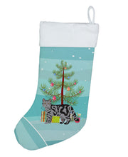 Load image into Gallery viewer, Scottish Straight Cat Merry Christmas Christmas Stocking