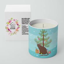 Load image into Gallery viewer, Raas Cat Merry Christmas 10 oz Decorative Soy Candle