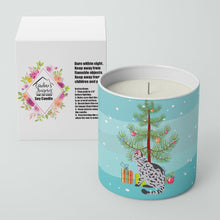Load image into Gallery viewer, Serengeti Cat Merry Christmas 10 oz Decorative Soy Candle