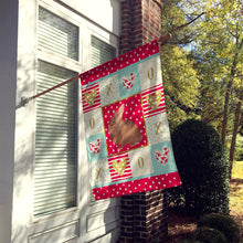 Load image into Gallery viewer, Lionhead Rabbit Love Flag Canvas House Size CK5387CHF