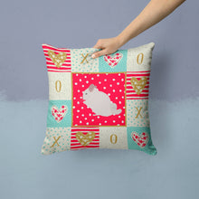 Load image into Gallery viewer, Pink and White Chinchilla Love Throw Pillow - 14x14 Decorative Pillow – Art for Your Home &amp; Patio CK5424PW1414