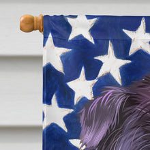 Load image into Gallery viewer, Affenpinscher American Flag Flag Canvas House Size CK6382CHF