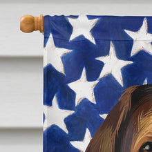 Load image into Gallery viewer, Alpine Dachsbracke American Flag Flag Canvas House Size CK6392CHF