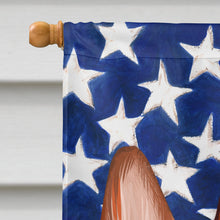 Load image into Gallery viewer, Basenji American Flag Flag Canvas House Size CK6417CHF