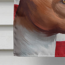 Load image into Gallery viewer, Basenji American Flag Flag Canvas House Size CK6417CHF