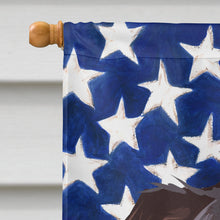 Load image into Gallery viewer, Bull Terrier Dog American Flag Flag Canvas House Size CK6467CHF