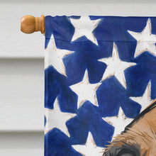 Load image into Gallery viewer, Bullmastiff Dog American Flag Flag Canvas House Size CK6469CHF