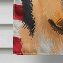 Load image into Gallery viewer, Collie Rough Dog American Flag Flag Canvas House Size CK6492CHF