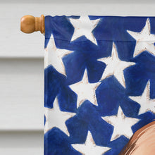 Load image into Gallery viewer, Dogue de Bordeaux Dog American Flag Flag Canvas House Size CK6505CHF
