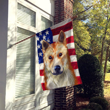 Load image into Gallery viewer, Korean Jindo American Flag Flag Canvas House Size CK6596CHF