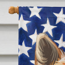 Load image into Gallery viewer, Korean Jindo American Flag Flag Canvas House Size CK6596CHF