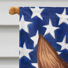Load image into Gallery viewer, Majorca Ratter American Flag Flag Canvas House Size CK6610CHF