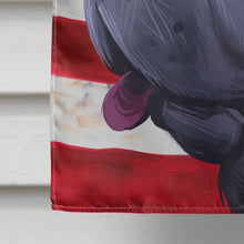 Load image into Gallery viewer, Miniature Shar Pei Dog American Flag Flag Canvas House Size CK6620CHF