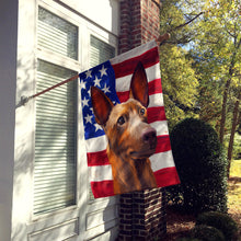 Load image into Gallery viewer, Pharaoh Hound Dog American Flag Flag Canvas House Size CK6643CHF
