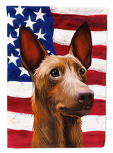 Load image into Gallery viewer, Pharaoh Hound Dog American Flag Flag Canvas House Size CK6643CHF