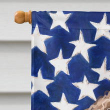 Load image into Gallery viewer, Spanish Water Dog American Flag Flag Canvas House Size CK6719CHF