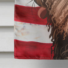 Load image into Gallery viewer, Spanish Water Dog American Flag Flag Canvas House Size CK6719CHF