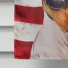 Load image into Gallery viewer, Toy Fox Terrier American Flag Flag Canvas House Size CK6742CHF