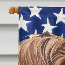 Load image into Gallery viewer, Wirehaired Pointing Griffon American Flag Flag Canvas House Size CK6757CHF