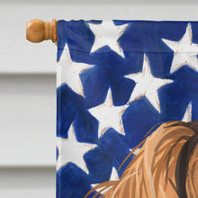 Load image into Gallery viewer, Wirehaired Vizsla American Flag Flag Canvas House Size CK6758CHF