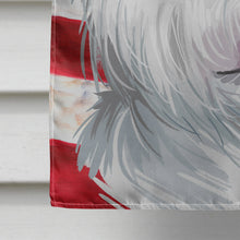 Load image into Gallery viewer, Xiasi Quan American Flag Flag Canvas House Size CK6759CHF