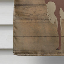 Load image into Gallery viewer, Vicugna or Vicuna Welcome Flag Canvas House Size CK6861CHF