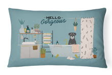 Load image into Gallery viewer, Black Grey Standard Schnauzer in Bathtub Canvas Fabric Decorative Pillow CK7456PW1216