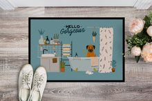 Load image into Gallery viewer, Border Terrier in Bathtub Doormat - 18x27 Decorative Floor Mat – Indoor/Outdoor Rug with Artistic Flair CK7461MAT